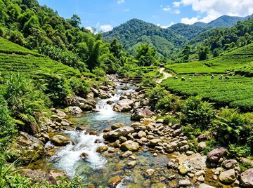 Ảnh đẹp La Bằng